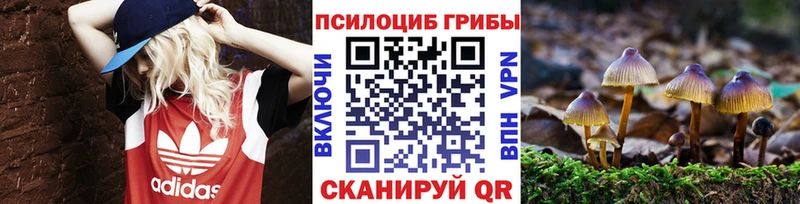 Псилоцибиновые грибы ЛСД  это Telegram  Курганинск 